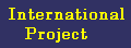 International Project